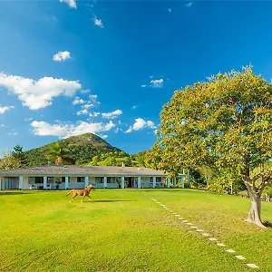 Mountain Retreat Bed & Breakfast Eumundi